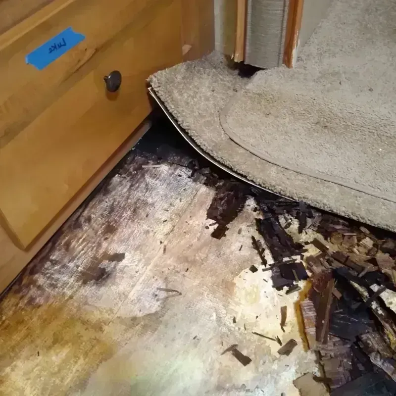 Wood Floor Water Damage in Irving Park, IL